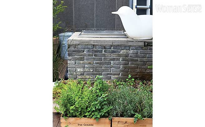 허브며 한련화 같은 한해살이 꽃들은 간단하게 와인 박스를 이용한다. 베란다의 오브제와 조명 역할을 하는 큰 새는 6년 전 지금의 스튜디오로 이사하고서 받은 선물이다.