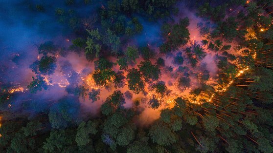 지난달 17일 러시아의 숲이 활활 타고 있는 모습. 러시아가 온난화로 이상 고온현상을 겪고 있는 가운데 산불까지 겹치면서 화재 진압에 애를 먹었다. [로이터=연합뉴스]