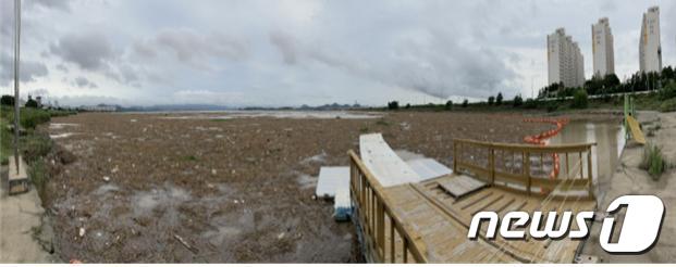 목포 나불도를 뒤덮고 있는 해양 쓰레기.(목포시 제공)2020.8.13/뉴스1 © News1 김영선 기자