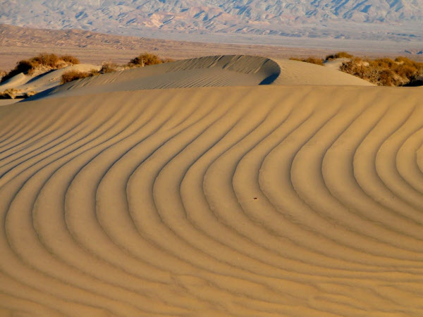 지구상에서 가장 더운 데스밸리. 미국 캘리포니아주와 네바다주에 걸친 모하비사막에 위치하고 있다. /데스밸리 국립공원