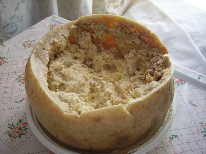 카수 마르주 치즈(사진=위키피디아)