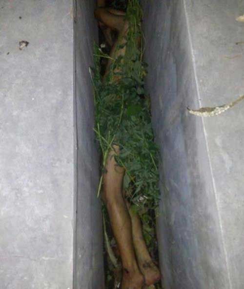 나체로 나뭇잎 덮고 배수로에 숨어있던 러시아인 마약사범