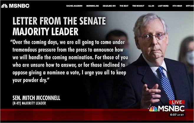 (사진=MSNBC 화면 캡처)