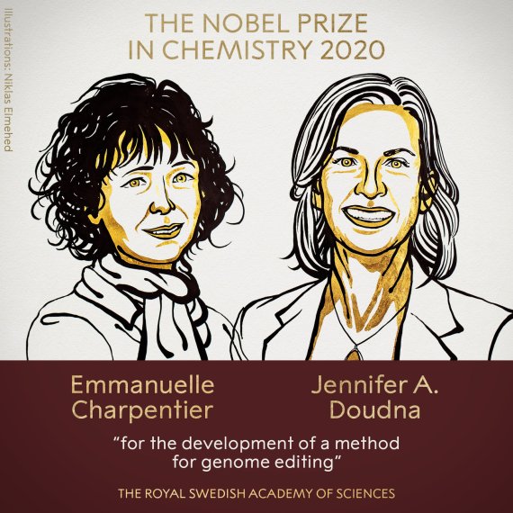 2020 노벨 화학상 수상자 에마누엘 샤르팡티에(왼쪽)와 제니퍼 다우드나.뉴스1