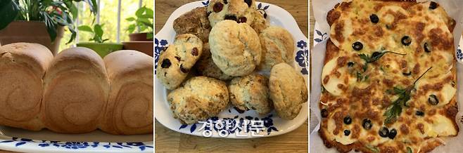 완성된 식빵과 스콘, 피자 / 주영재 기자