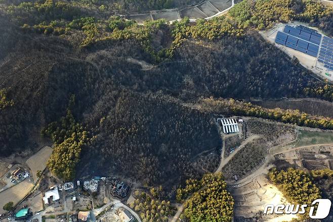 지난 2019년 4월 강원 고성 토성면 성천리 일대가 대형 산불로 검게 탄 모습(자료 사진)© News1