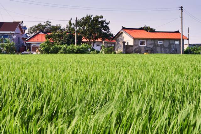 최별 PD가 4,500만원을 주고 산 전북 김제의 115년 된 폐가가 주황색 지붕의 말끔한 집으로 변신했다. 당초 주말을 보낼 세컨 하우스로 산 이 집을 수선하는 데만 5,100만원이 더 들어서 최 PD는 서울의 전셋집을 빼고 김제로 이주했다. MBC 제공