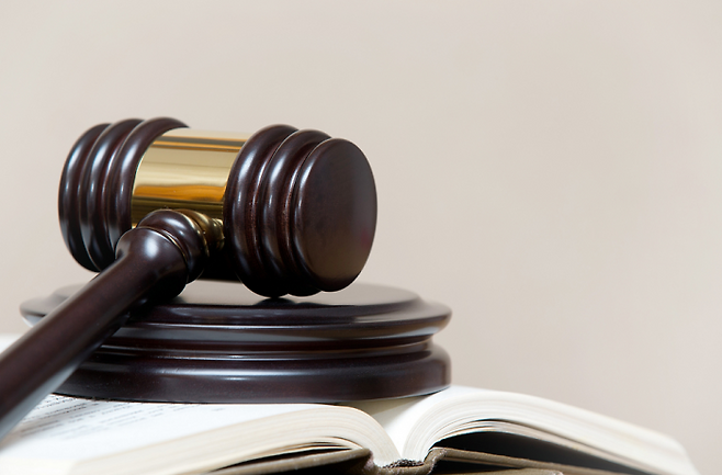 (사진=이미지투데이)