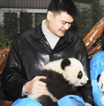 중국의 농구선수 야오밍이 맨손으로 판다를 안고 있는 모습. (사진=서경덕 교수 페이스북)