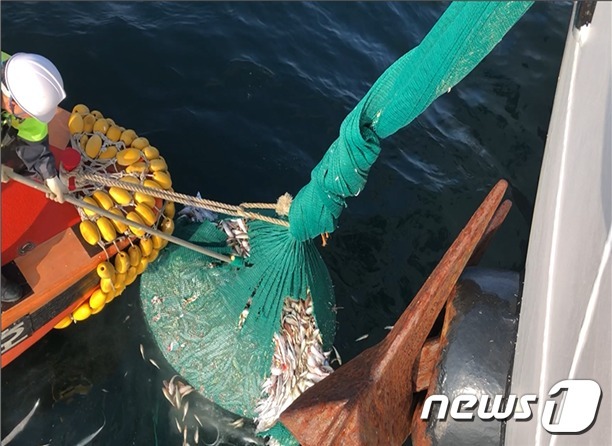 남해어업관리단 관계자들이 차귀도 해상에 설치된 중국 범장망을 강제로 철거하고 있다.(남해어업관리단 제공)2020.11.16/뉴스1© News1