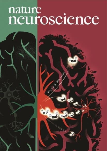 'Nature Neuroscience' 논문 커버 사진 [사진=IBS·KIST 제공]