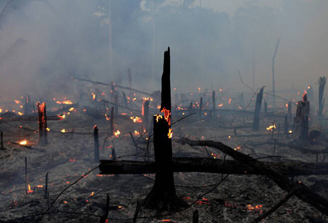 화재로 불 타 사라진 아마존 열대우림의 처참한 현장 (사진=AFP 연합뉴스)