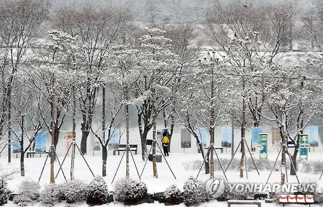 대설특보 속 눈 쌓인 춘천 (춘천=연합뉴스) 이상학 기자 = 대설주의보가 내려진 13일 강원 춘천시 공지천에서 시민들이 눈 쌓인 산책로를 걸어가고 있다 2020.12.13 hak@yna.co.kr