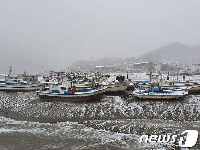 이틀째 많은 눈이 내린 전남 영광군 법성포구는 한폭의 수묵화를 연상케 했다. 15일 오전 7시 기준 영광군의 적설량은 14.6㎝를 기록 중이다.(영광군 제공)2020.12.15 /뉴스1 © News1