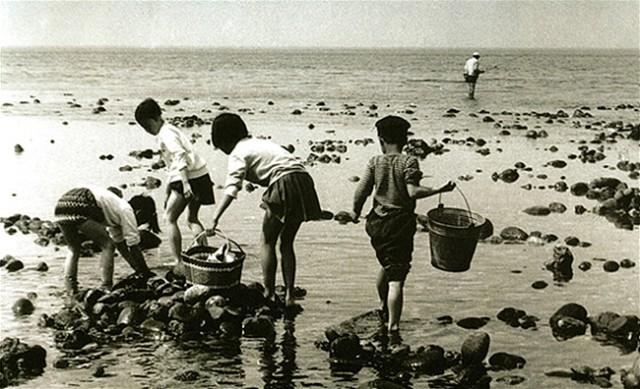 탑동 매립 전 아이들이 해산물을 채취하는 모습. 탑동이 매립되기 전 이에 반대하는 주민 운동이 조직적으로 전개되었다. 출처 : 사진으로 보는 제주100년사