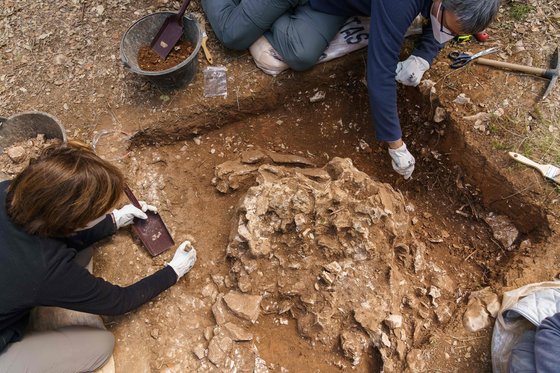 스페인 아타푸에르카의 한 발굴지에서 고고학자 등이 화석을 발굴하고 있다. AFP=연합뉴스