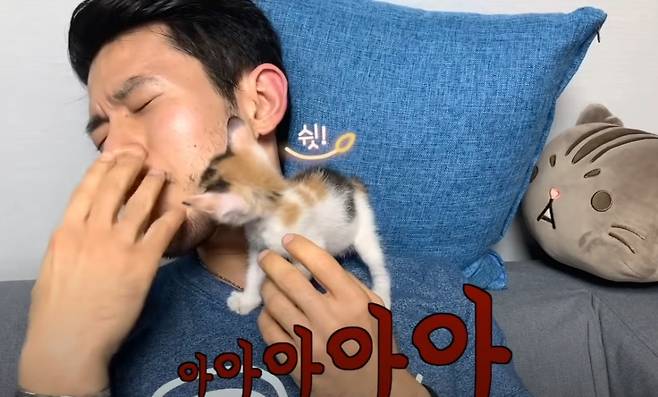 /사진='Arirang(아리랑)은 고양이들 내가 주인' 유튜브 채널