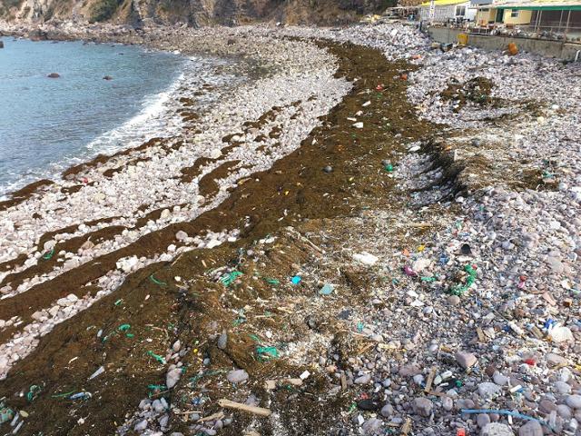 6일 오전 신안군 홍도 1구 해수욕장이 모자반과 쓰레기로 몸살을 앓고 있다. 신안군 제공