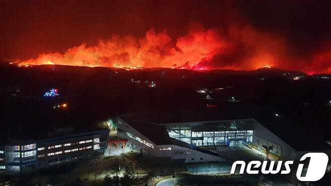 2019년 4월4일 오후 7시17분쯤 강원 고성군 토성면 원암리 일대에서 발생한 대형산불(자료사진)© News1 DB
