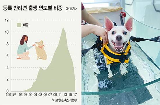 대당 1000만원대 노령견 전용 수중러닝머신인 에이블디자인스의 ‘조이풀’.