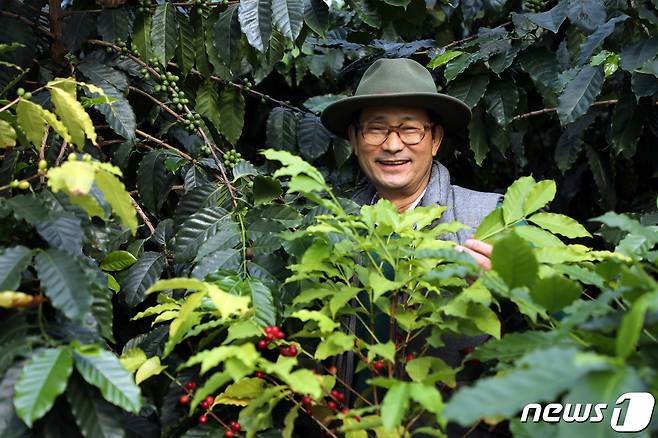 커피나무에 둘러싸인 담양커피농장 임영주 대표. /© News1 박영래 기자
