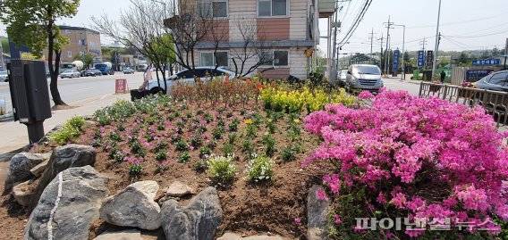 고양시 화전원당지역 2020년 도시재생 뚜벅이 마을닥터. 사진제공=고양시