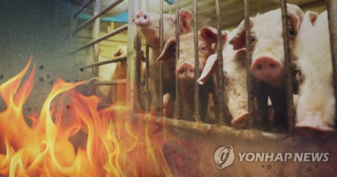 돼지 농장 화재(PG) [제작 이태호] 사진합성, 일러스트