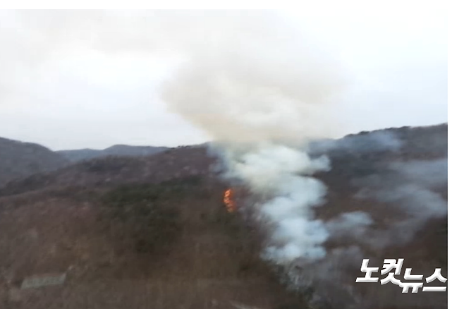 11일 발생한 경주국립공원 화재 모습. 산림청 제공