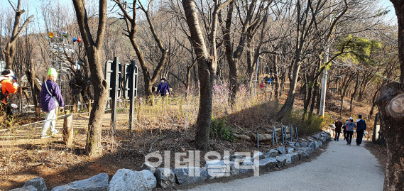 서울 관악산도시자연공원구역 전경.(사진=지존 제공)