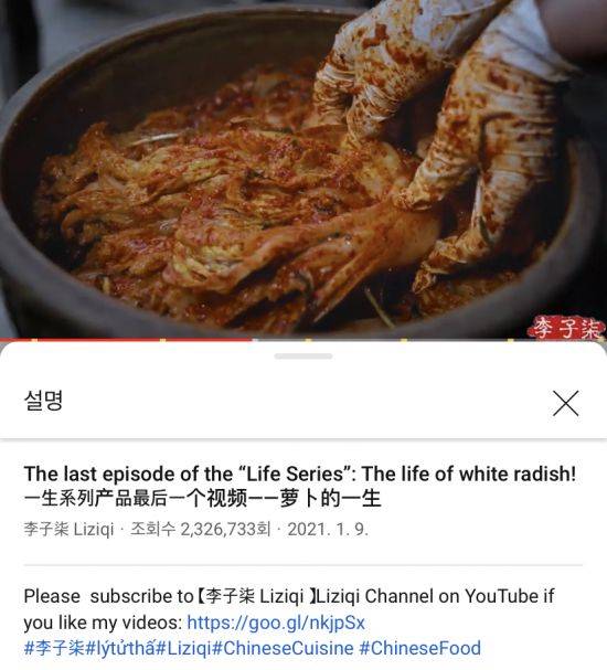 중국의 한 유튜버가 배추로 김치를 담그는 영상을 올리며 '중국 전통 요리'라는 해시태그를 사용해 논란이다. 사진='리즈치' 유튜브 채널 영상 캡쳐