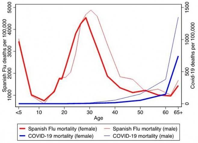 스페인 독감과 코로나19의 남녀 연령대별 사망률을 나타낸 그래프다. 스페인 독감은 청장년층 사망률이 높아 뫼 산(山)자 패턴을 보이는 반면 코로나19는 나이가 많을수록 사망률이 급증해 전체 사망률을 나타내는 그래프처럼 보인다. 유럽 경제정책조사센터(voxeu.org) 제공