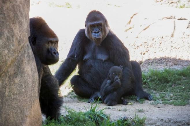 ▲사진=연합뉴스