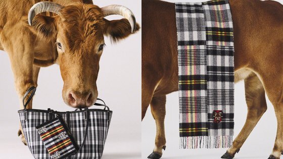 영국 브랜드 '버버리'가 중국 및 아시아권을 겨냥해 출시한 소의 해 컬렉션. 사진 버버리 홈페이지