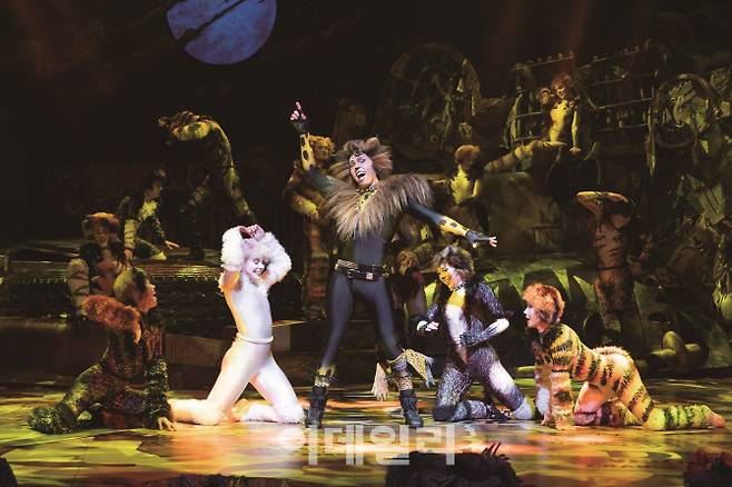 뮤지컬 ‘캣츠’ 40주년 내한공연의 한 장면(사진=세종문화회관).