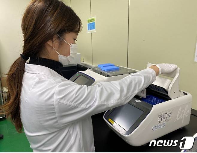 전남보건환경연구원 연구원들이 감염병에 대한 검사를 진행하고 있는 모습.(전남도 제공) 2020.1.3 /뉴스1 © News1