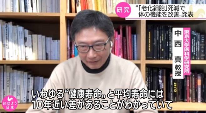 도쿄대학 의과학연구소의 나카니시 마코토(中西真) 교수가 15일 NHK 방송을 통해 노화(老化)세포를 효율적으로 제거할 방법을 발견한 것에 대해 설명하고 있다. 연합뉴스