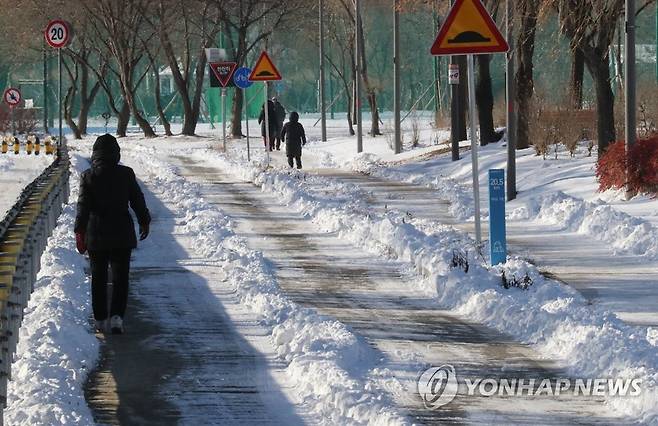 '북극 한파' 극복은 산책으로 [연합뉴스 자료사진]