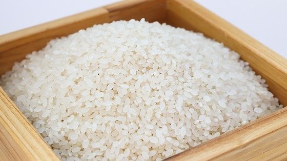 한국과 일본에서 즐겨 먹는 자포니카 쌀은 쌀알의 길이가 짧고 통통하며 찰기가 있고 윤기 나는 것이 특징이다. [사진 pixabay]