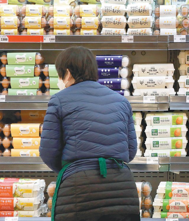 17일 서울 중구 한강대로 롯데마트 서울역점에서 직원이 계란 진열대를 살펴보고 있다. 한국농수산식품유통공사에 따르면 고병원성 조류인플루엔자(AI) 확산으로 계란 가격이 1년 전보다 26% 올랐다. 뉴시스