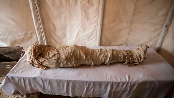 이집트 사카라 유적지에서 제6왕조 테티 왕의 아내 ‘네어리트 왕비’의 추모 사원이 발굴된 가운데, 이곳에서 발견된 미라의 모습. 사진=AFP 연합뉴스