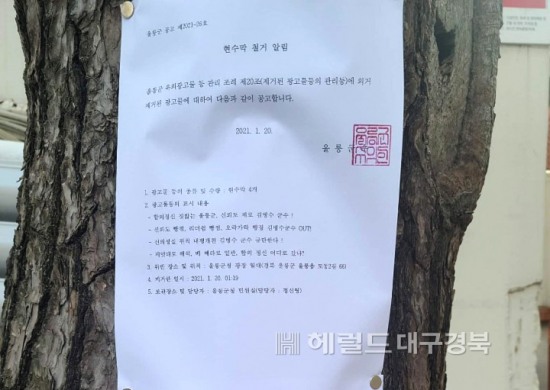 울릉군이 군청사 마당에   게시한 현수막 철거 공고문(김나영 분회장 페이스북 캡쳐)