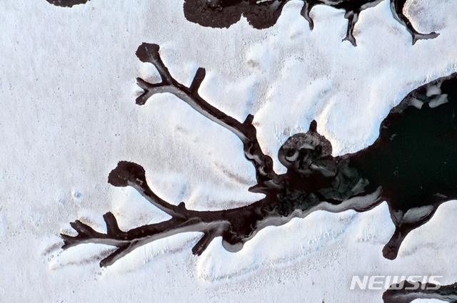 [신안=뉴시스] 신안 갯벌에 녹아든 한마리 사슴. (사진=신안군 제공) 2021.01.20. photo@newsis.com
