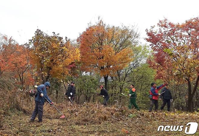 전북 정읍시가 지역 일자리 창출과 지속 가능한 산림자원의 관리를 위해 산림 재정지원 일자리 사업을 추진한다고 21일 밝혔다. © 뉴스1