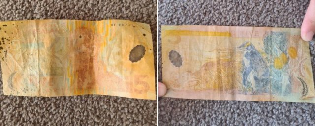 제인이 바다에서 주운 5뉴질랜드달러(약 4천 원)짜리 지폐. ‘트레이드 미’ 홈페이지 갈무리