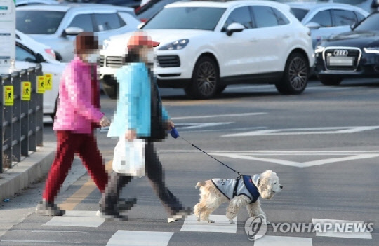 24일 서울 중구 도로에서 시민이 반려견과 산책하고 있다. 연합뉴스