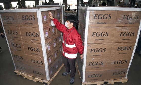고병원성 조류인플루엔자(AI) 확산으로 국내 계란 공급이 부족해지며 가격도 미국산 계란이 수입 되었다. 25일 오후 인천국제공항 화물터미널에서 아시아나항공 관계자가 자사 항공기로 수송된 미국산 계란 상태를 확인하고 있다. 아시아나항공은 AI 확산 여파로 국내 계란 공급이 부족해진 상황에서 정부의 긴급 요청에 따라 21일 초도물량 운송을 시작했으며 이날 계란 20여t을 수송했다. 사진=서동일 기자