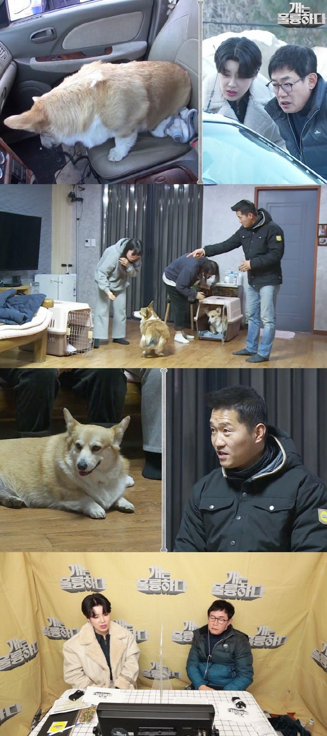 /사진제공=KBS2 ‘개는 훌륭하다’