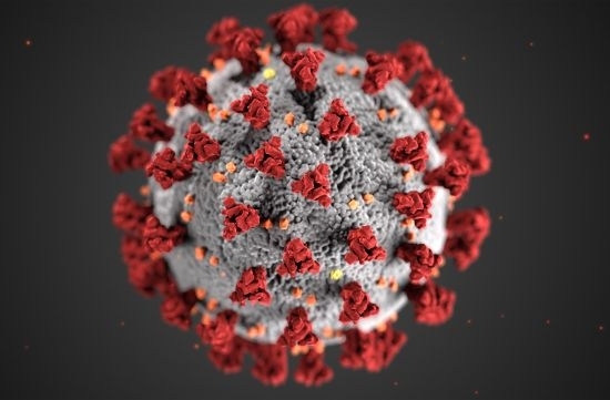 美 질병통제센터가 지난해 발표한 코로나19 바이러스 일러스트 이미지.