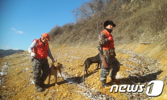 전북 부안군은 유해야생동물로 인한 인명피해 및 농작물 등 피해를 예방하기 위해 유해3월14일까지 야생동물 기동포획단을 운영한다.(뉴스1/DB).© News1