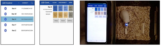 무선 제어용 스마트폰 앱. (좌) 연결 가능한 디바이스 선택 화면. (중) 배터리 잔량 확인 및 마이크로 LED 제어 화면. (우) 스마트폰 앱을 이용한 완전이식된 디바이스의 마이크로 LED 제어/사진=KAIST